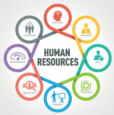 Human Resource	